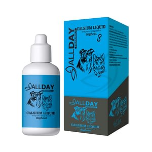 ALLDAY Calcium Liquid 100 ml